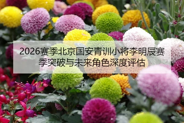 sai-ji-bei-jing-guo-an-qing-xun-xiao-jiang-li-ming-chen-sai-ji-tu-po-yu-wei-lai-jue-se-shen-du-ping-gu-2-979.jpg